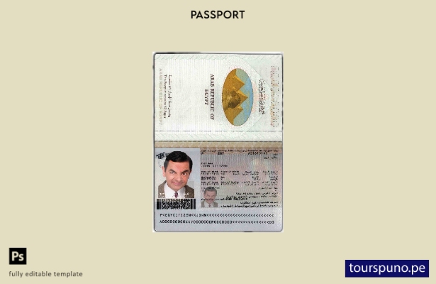Plantilla de pasaporte de Egipto lista para imprimir
